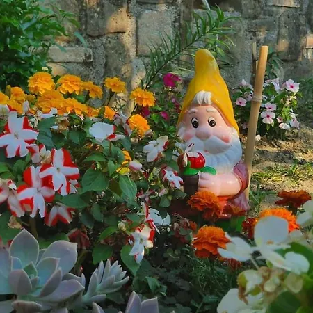 Апартаменты Olives House In Изола