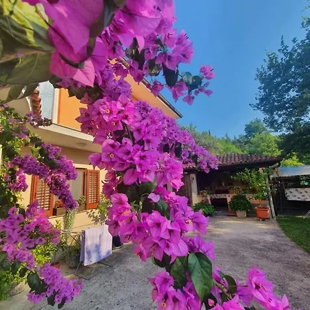 Appartamento Olives House In