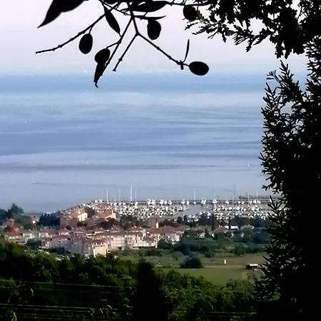 Olives House In Appartamento *