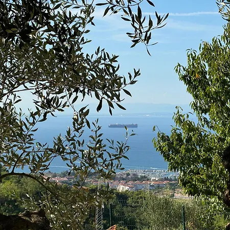 Olives House In Апартаменты