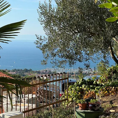 Apartament Olives House In