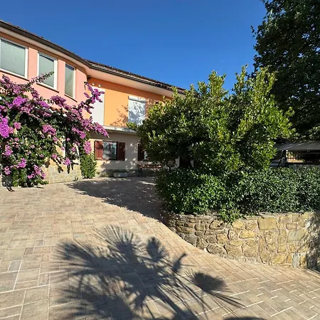 Апартаменты Olives House In *