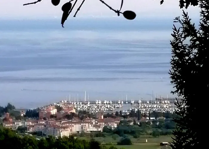 Olives House In アパート *