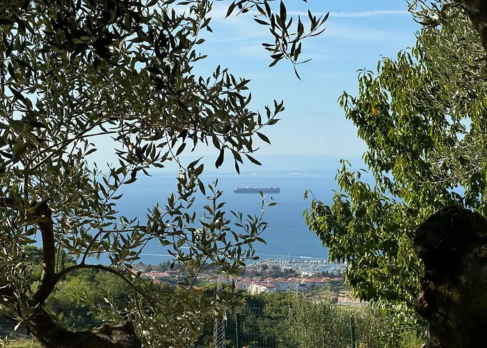 Olives House In 아파트